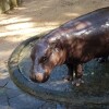 LINE_ALBUM_А - 14 ВИП КХАО КХЕО_240926_29