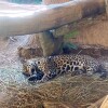 LINE_ALBUM_А - 14 ВИП КХАО КХЕО_240926_38