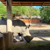 LINE_ALBUM_А - 14 ВИП КХАО КХЕО_240926_40
