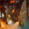 LINE_ALBUM_SC - 170 ЗОЛОТОЙ МАНГРОВЫЙ ЛЕС._240909_81