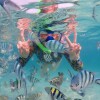 LINE_ALBUM_Подводная Одиссея_241001_15