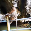 LINE_ALBUM_SC - 107 ЗАТЕРЯННЫЙ МИР_240908_77