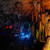 LINE_ALBUM_SC-101 АЛЬПАКА ПАРК_240909_228