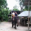 LINE_ALBUM_SC-128129 НОНГ НУЧ_240912_10