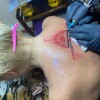 LINE_ALBUM_МАГИЧЕСКИЕ РИТУАЛЫ САК ЯНТ_240916_1