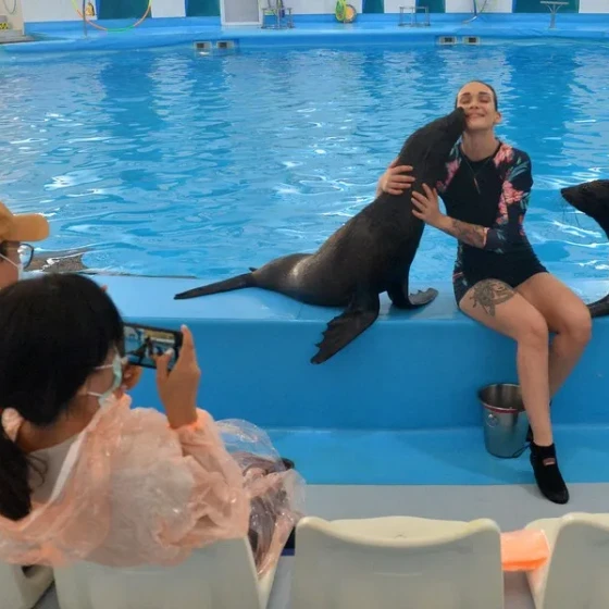 Asia-Album_-Dolphin-show-kicks-off-in-Thailands-Pattaya-2 (1)