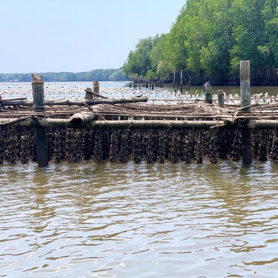 LINE_ALBUM_SC-145 В ПОИСКАХ САПФИРОВ_240909_15
