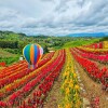 LINE_ALBUM_НАД ОБЛАКАМИ_240913_47