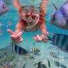 LINE_ALBUM_Подводная Одиссея_241001_19 (1)