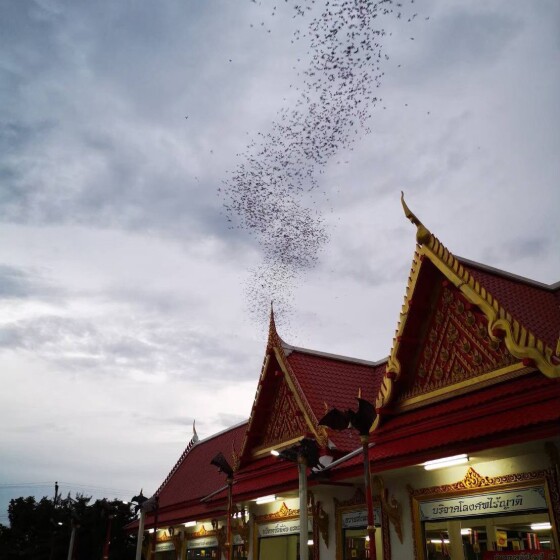 LINE_ALBUM_SC-101 АЛЬПАКА ПАРК_240909_190