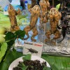 LINE_ALBUM_BKK-050 КОНТРАСТНЫЙ (ОПАСНЫЙ) БАНГКОК_240907_11