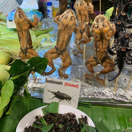 LINE_ALBUM_BKK-050 КОНТРАСТНЫЙ (ОПАСНЫЙ) БАНГКОК_240907_11